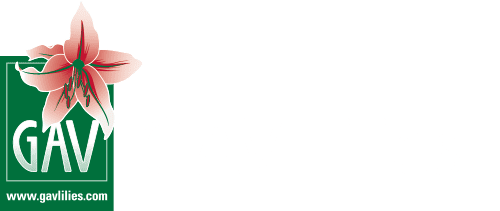 GAV Verdegaal